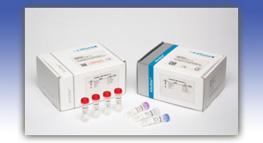 Real time PCR reagent kits