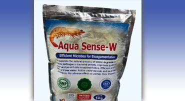 Aqua Sense – Wt 500 Grams